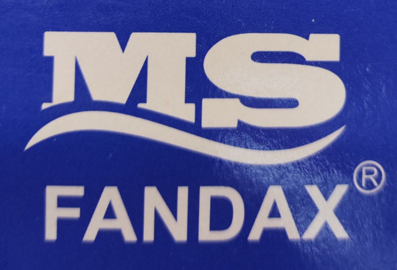 ms-fandax logo